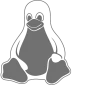 servidor-linux